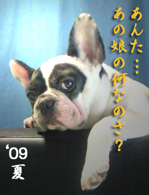 20090811.jpg