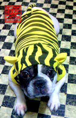 201001251258000.jpg