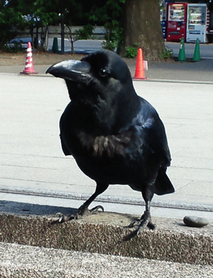 2010051215430000.jpg