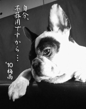 2010061809280002.jpg