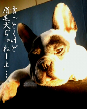 2010061809290000.jpg