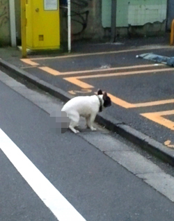 2010072704440000.jpg