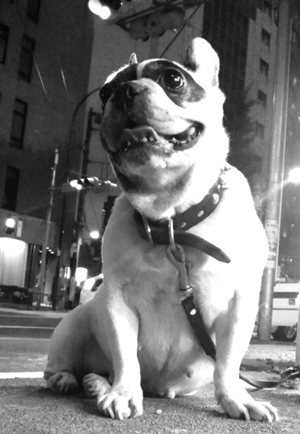 2010080604290000.jpg