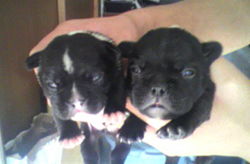 2010091412020000.jpg