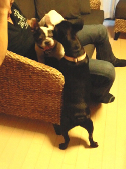2010091805270001.jpg