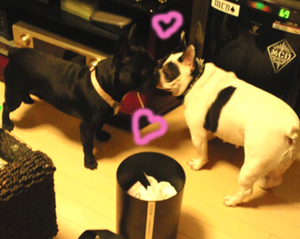 2010091805290000.jpg