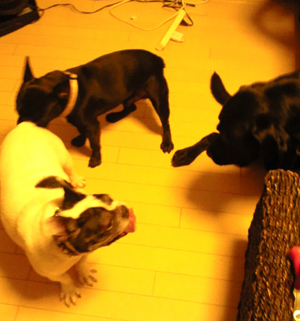 2010091805300000.jpg