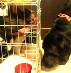 2010091805330001.jpg