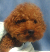 2010092101060002.jpg