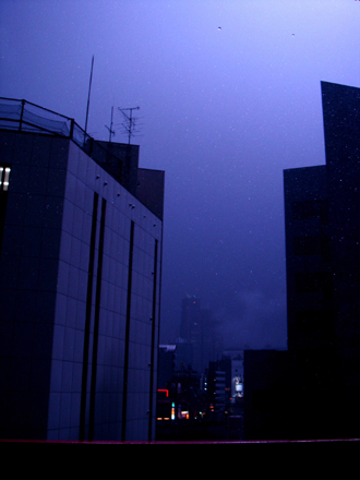 DSC00482.jpg
