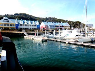 DSC01004.jpg
