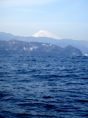 DSC01013.jpg