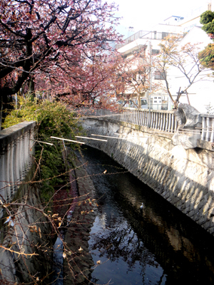 DSC01015.jpg