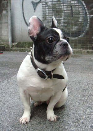 DSC01418.jpg