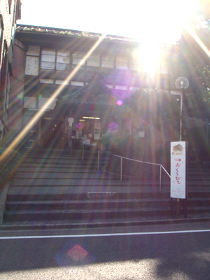 DSC01862.jpg