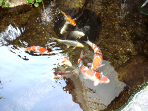 DSC01879.jpg