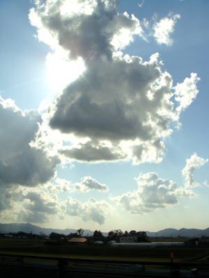 DSC01900.jpg