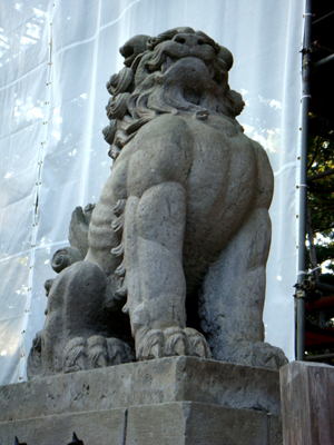 DSC01916.jpg