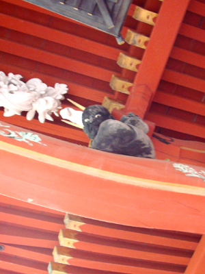 DSC01917.jpg