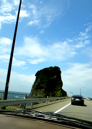 DSC02137.jpg