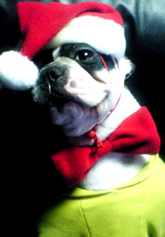 santa.jpg
